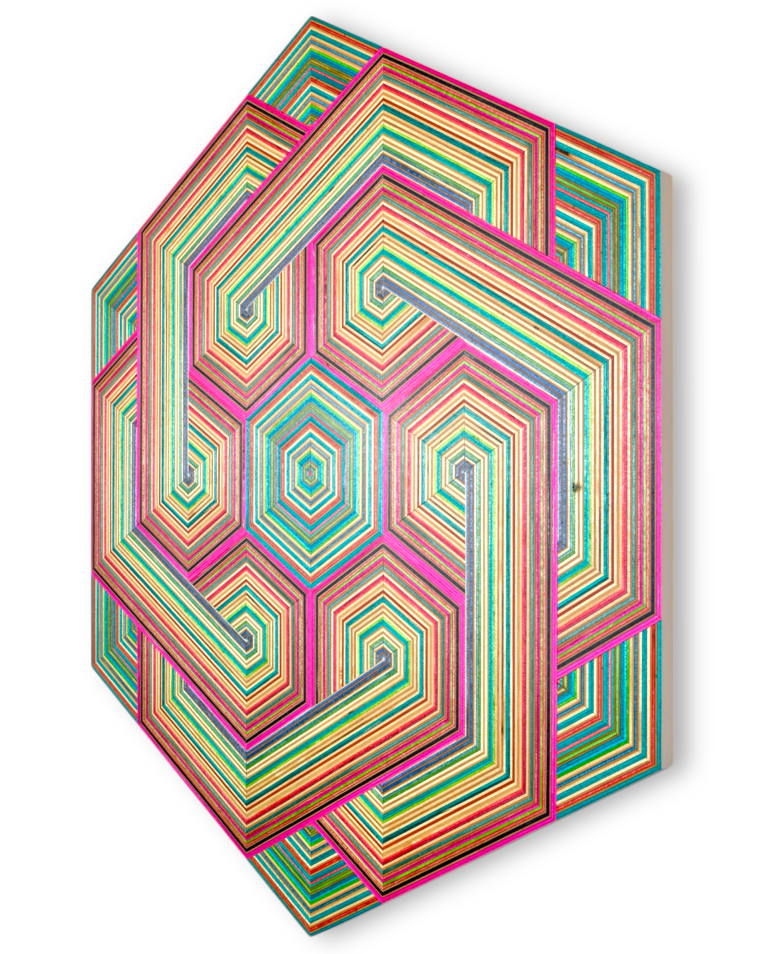 Bohemian raspberry ~ 2026 - Image 3