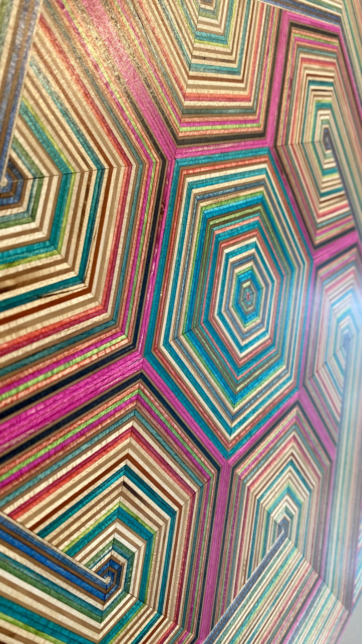 Bohemian raspberry ~ 2026 - Image 7