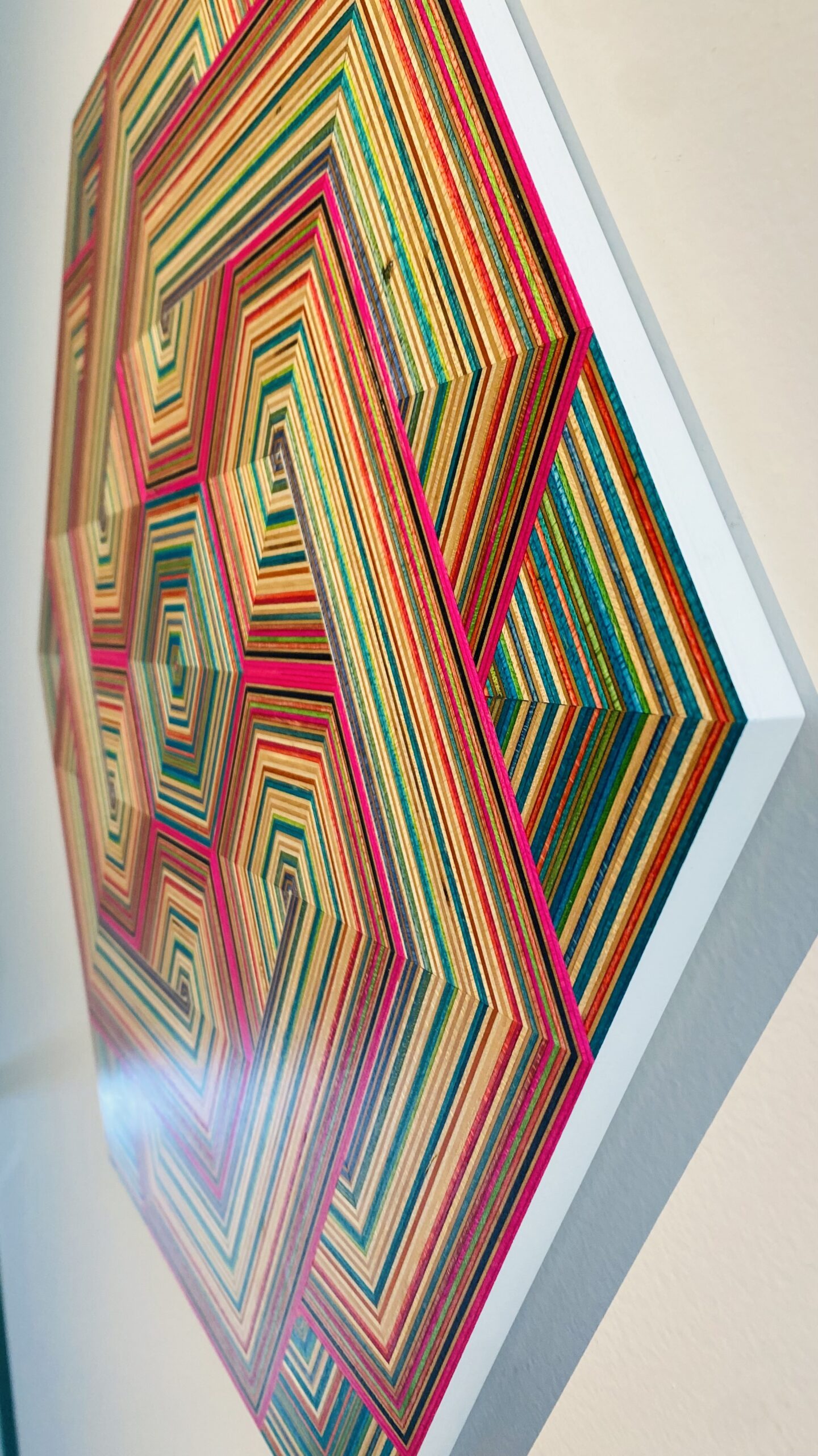 Bohemian raspberry ~ 2026 - Image 6